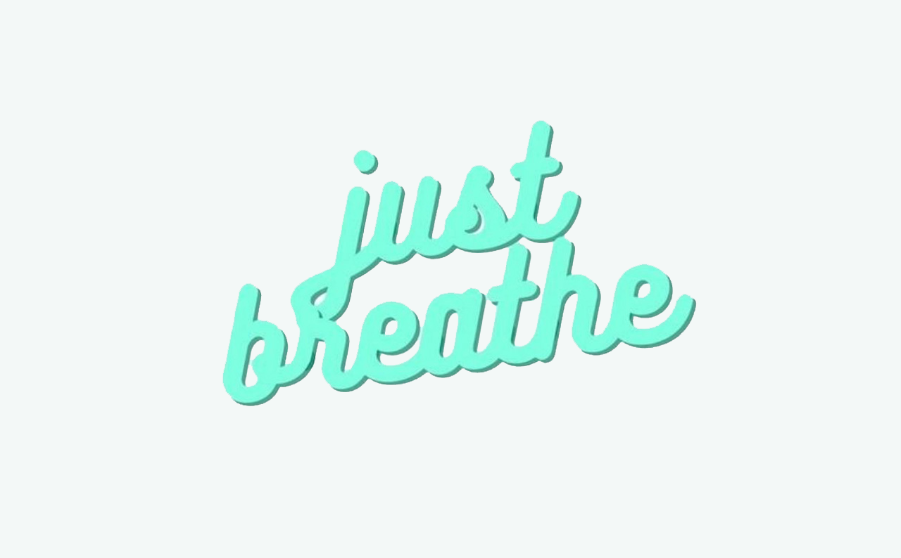 bump physio co blog first pelvic physiotherapy appointment here's what to expect